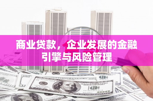 迪庆商业贷款，企业发展的金融引擎与风险管理