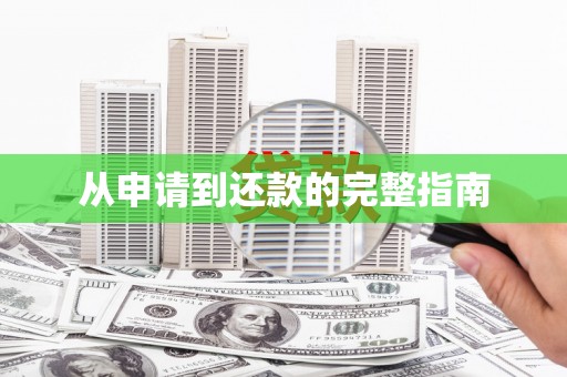 普湾新区从申请到还款的完整指南