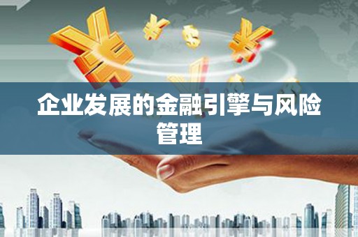 龙崎企业发展的金融引擎与风险管理