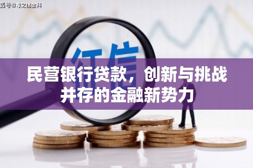 荣县民营银行贷款，创新与挑战并存的金融新势力
