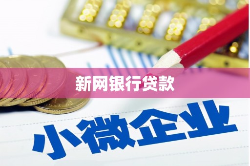 普格新网银行贷款