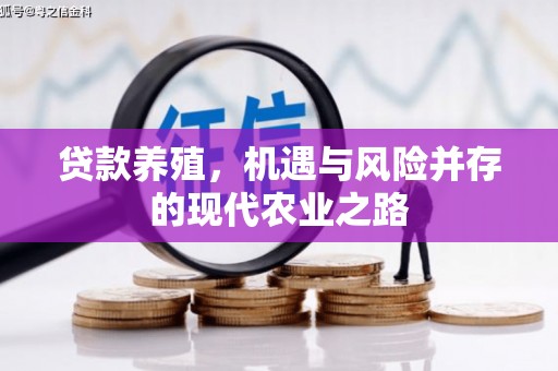 津南贷款养殖，机遇与风险并存的现代农业之路