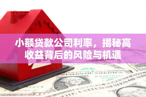 威海小额贷款公司利率，揭秘高收益背后的风险与机遇