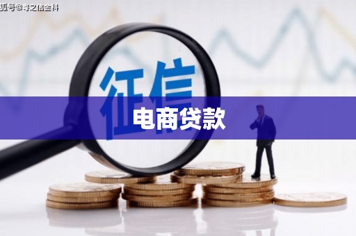 溆浦电商贷款