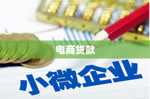 特克斯电商贷款