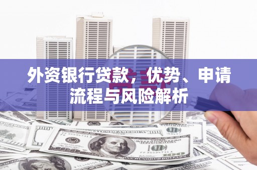 大武外资银行贷款，优势、申请流程与风险解析