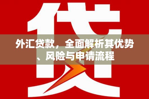 元长外汇贷款，全面解析其优势、风险与申请流程