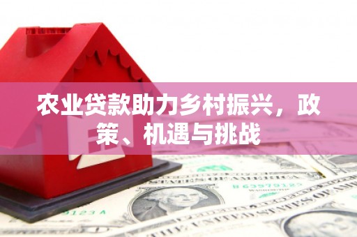红原农业贷款助力乡村振兴，政策、机遇与挑战