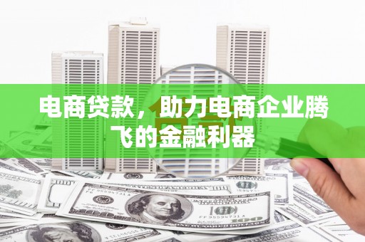 麦寮电商贷款，助力电商企业腾飞的金融利器