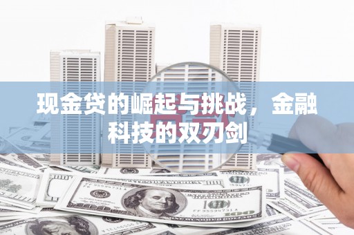 姚安现金贷的崛起与挑战，金融科技的双刃剑