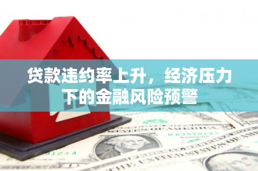 广水贷款违约率上升，经济压力下的金融风险预警