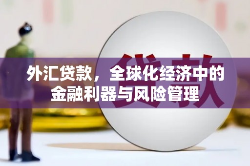 刚察外汇贷款，全球化经济中的金融利器与风险管理