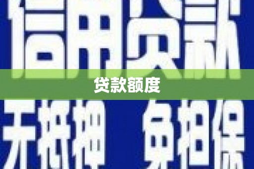 洋县贷款额度