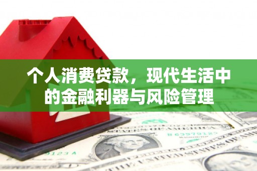 长葛个人消费贷款，现代生活中的金融利器与风险管理