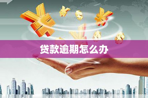 天祝贷款逾期怎么办