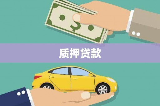 进贤质押贷款