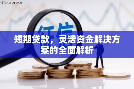 清流短期贷款，灵活资金解决方案的全面解析