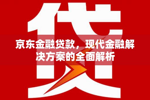 囊谦京东金融贷款，现代金融解决方案的全面解析