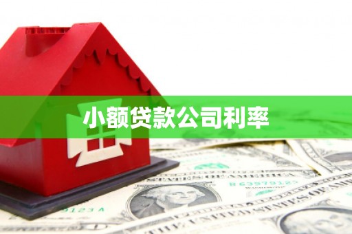 银川小额贷款公司利率