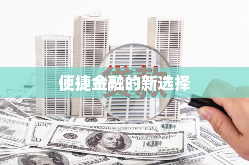 道里便捷金融的新选择