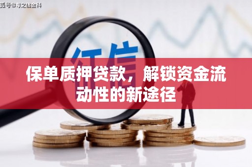 沙坡头保单质押贷款，解锁资金流动性的新途径