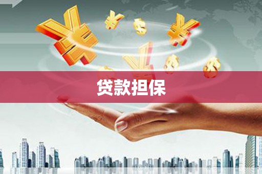 蓬江贷款担保