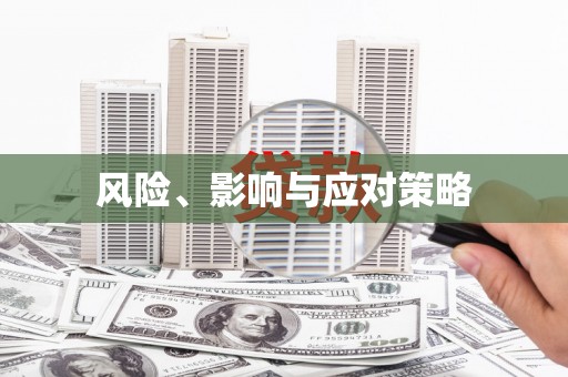 安阳风险、影响与应对策略
