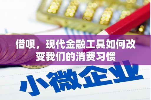 凤城借呗，现代金融工具如何改变我们的消费习惯