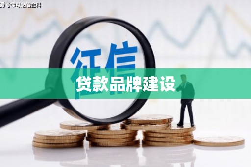 宜君贷款品牌建设