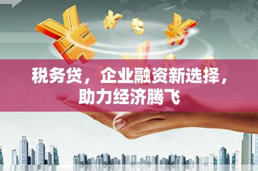 广灵税务贷，企业融资新选择，助力经济腾飞