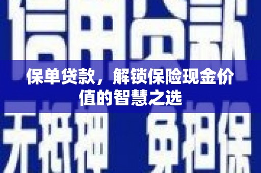 南涧保单贷款，解锁保险现金价值的智慧之选