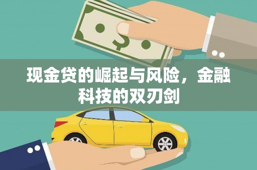 保德现金贷的崛起与风险，金融科技的双刃剑