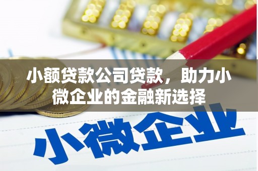 巴里坤小额贷款公司贷款，助力小微企业的金融新选择