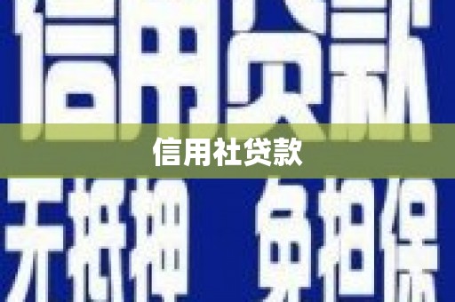 上林信用社贷款