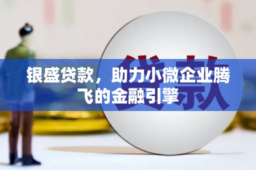 宣威银盛贷款，助力小微企业腾飞的金融引擎