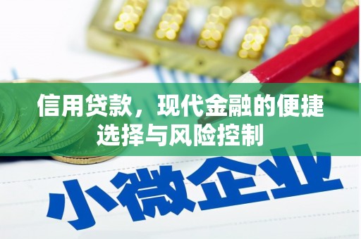 伸港信用贷款，现代金融的便捷选择与风险控制
