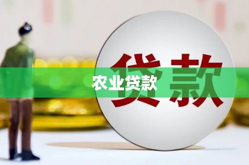 兴安农业贷款