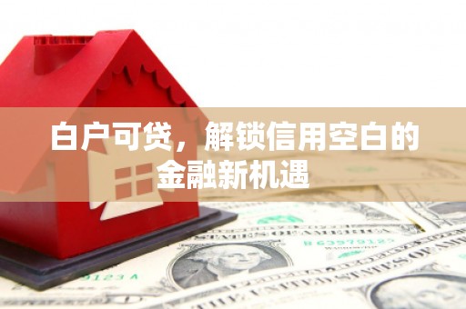 弥陀白户可贷，解锁信用空白的金融新机遇