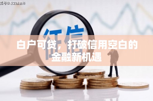 和硕白户可贷，打破信用空白的金融新机遇