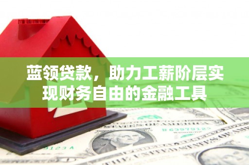 合山蓝领贷款，助力工薪阶层实现财务自由的金融工具