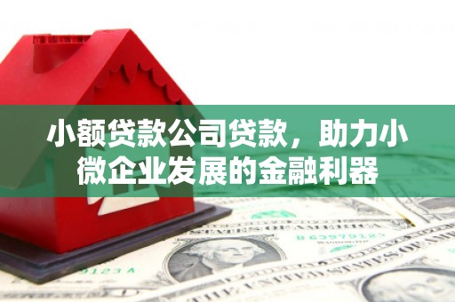 咸宁小额贷款公司贷款，助力小微企业发展的金融利器