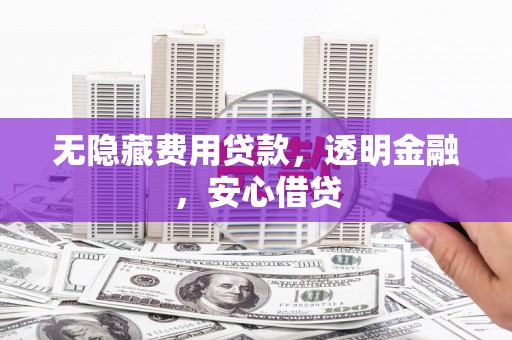 西峡无隐藏费用贷款，透明金融，安心借贷