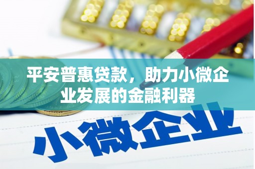昌吉平安普惠贷款，助力小微企业发展的金融利器