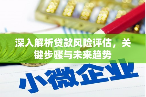 秦州深入解析贷款风险评估，关键步骤与未来趋势