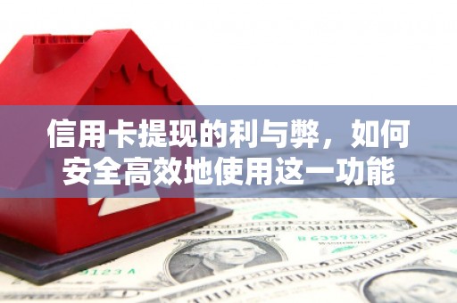 高树信用卡提现的利与弊，如何安全高效地使用这一功能