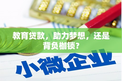 沙雅教育贷款，助力梦想，还是背负枷锁？