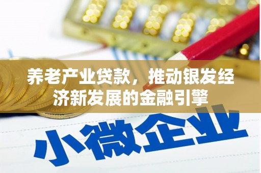 疏勒养老产业贷款，推动银发经济新发展的金融引擎
