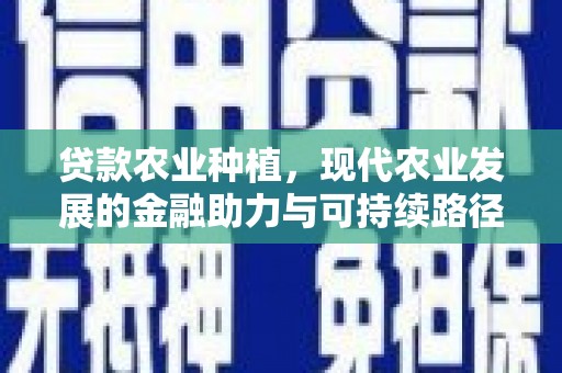白玉贷款农业种植，现代农业发展的金融助力与可持续路径
