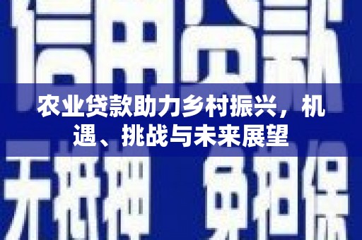 金湾农业贷款助力乡村振兴，机遇、挑战与未来展望