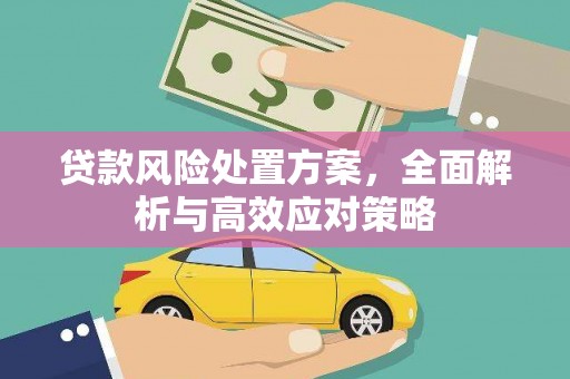 裕华贷款风险处置方案，全面解析与高效应对策略